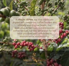 Bright Raven Roasters Colombia Choc Caramel Orange Peach Speciality Coffee
