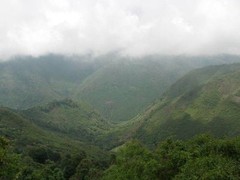 Guatemalan Huehuetenango Coffee Beans Medium Roasted 2 Pounds