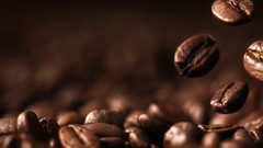 FRESH ROASTED COFFEE – 2 Bags – WHOLE BEAN COFFEE – PREMIUM COFFEE BEANS