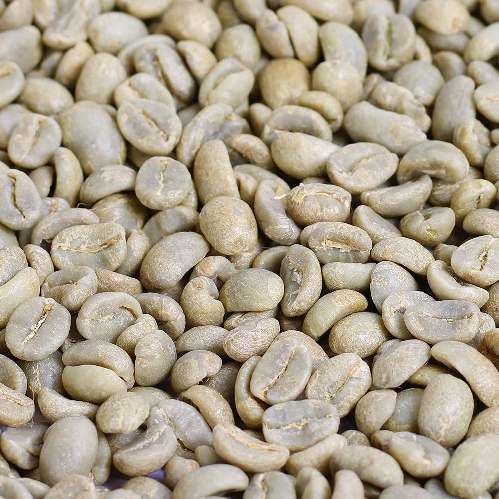 Gourmet Raw Unroasted Whole Coffee Beans by It’s Delish, 5 LB