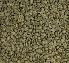Green Coffee Beans / Costa Rica La Minita Estate Tarrazu/ 1 Pound /UNROASTED