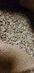 5 LBS PAPUA NEW GUINEA UNROASTED GREEN COFFEE BEANS – ARABICA