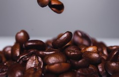 HONEY-BEAR – Reserve Limited Edition | Reserve Roast, Whole Bean, Nicaragua’s…