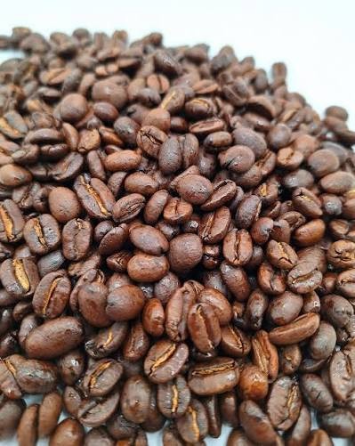 Coffee Beans / Mexican Chiapas Turquesa / 10 Pound / ROASTED