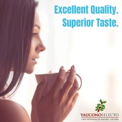 Yaucono Selecto Whole Bean Coffee 2 lb Medium Dark Roast 100 Percent Arabica