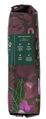 Starbucks Italian Roast Coffee Whole Bean 16 Ounce 1 Count (Pack of 1)