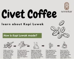 Coffe Luwak Liar Aceh Gayo Premium Roasted Beans 200g