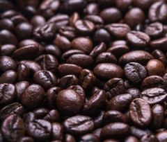 2, 5, 10 lb VENEZUELA ROASTED COFFEE BEANS WHOLE BEAN Or GROUND – ARABICA