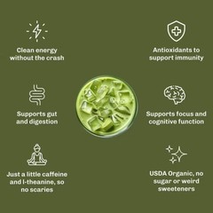 MUDWTR Organic Matcha Mushroom Coffee Alternative – 2.5oz