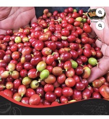 Cafe Yaucono Original Coffee Beans 2 pounds Bag