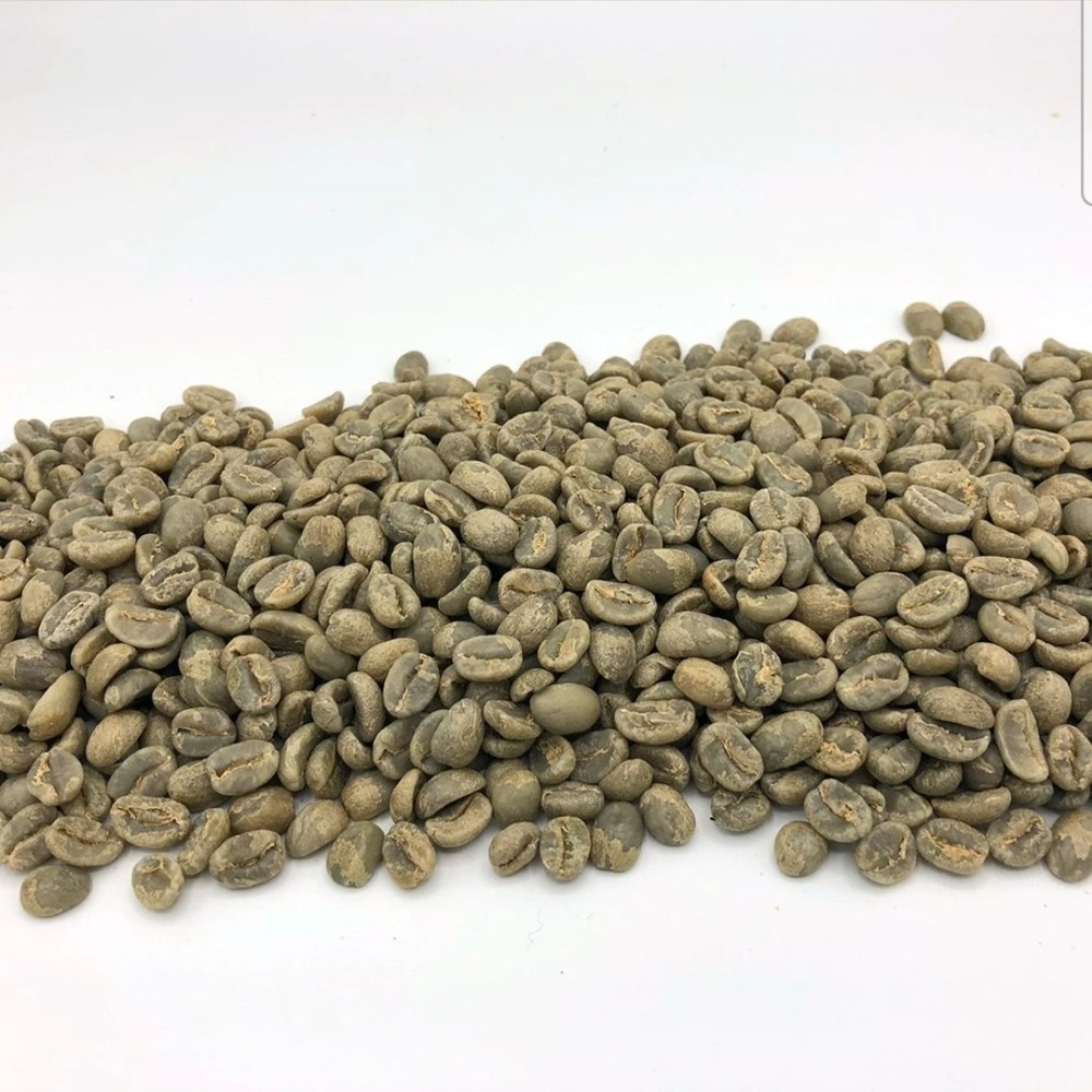 Green Coffee Beans /Kenyan Chepkube Bungoma County/ 1 Pound / UNROASTED