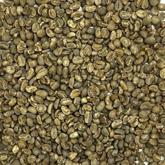 Green Coffee Beans / Sumatra Mandheling/ 10 Pound / UNROASTED