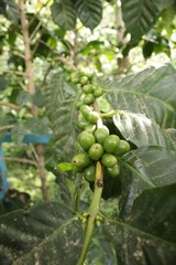 🌱 100% Colombian Single-Origin Specialty Roast ☕️ 1 Pound Whole Or Ground