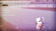 Twin Engine Coffee Estate Blend – Dark Roast, Whole Bean, Nicaraguan Coffee, …
