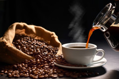 2025 3 Bags of Tampa Bay Blend Fresh Roasted whole bean Coffee Gourmet Coffee