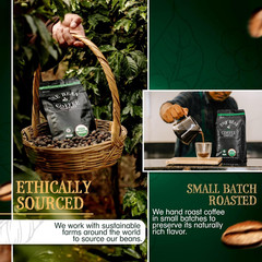 The Bean Organic Coffee Company Mocha Java, Medium Roast, Whole Bean Coffee, 16-