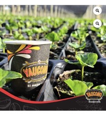 Cafe Yaucono Original Coffee Beans 2 pounds Bag
