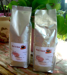 ORGANIC Domincan Republic Santo Domingo Coffee Medium Roast 5 Lbs