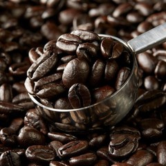 Kirkland Signature Whole Bean French Roast Coffee 2.5LB
