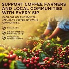 Wallenford Jamaica Blue Mountain Coffee Bean 100% 16oz PACK OF 4