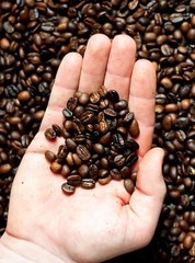 coffee beans roasted