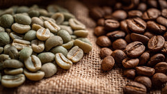 Honduran Green Coffee Beans – SHG EP – Premium Unroasted – Sweet & Balanced