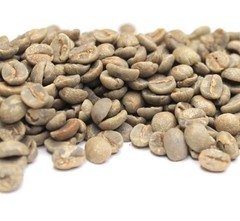 Green Coffee Beans / Brazil Oberon Cerrado / 1 Pound / UNROASTED