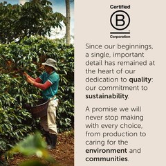 illy Arabica Selections Ethiopia Whole Bean Coffee, 100 Arabica Bean Single O…