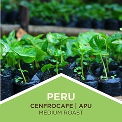 Tiny Footprint Coffee – Fair Trade Organic Peru APU 48 Ounce (Pack of 1)