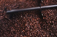 HONEY-BEAR – Reserve Limited Edition | Reserve Roast, Whole Bean, Nicaragua’s…