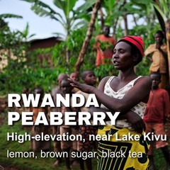 Rwanda Peaberry unroasted green coffee beans, high elevation, small farms, 4lbs