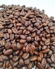 Coffee Beans /Tanzanian Peaberry Kilimanjaro/ 5 Pound / ROASTED