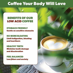 Low Acid Organic Coffee – Whole Bean, Mold-Free & Stomach Friendly by , Sumatran