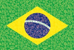 LEGENDER BRAZIL BRASIL FRESH ROASTED SPECIALTY COFFEE BEANS – ARABICA FULL BEAN