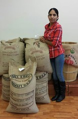 100% KONA HAWAIIAN UNROASTED COFFEE BEANS 10 POUNDS