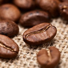 2025 COLOMBIAN SUPREMO, 1 Bag FRESH ROASTED COFFEE – Gourmet Coffee Beans