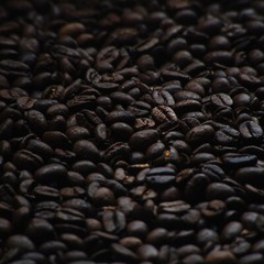 Arabica Fresh Roasted Coffee Ground Fine Dark Classic Blend 200 gram