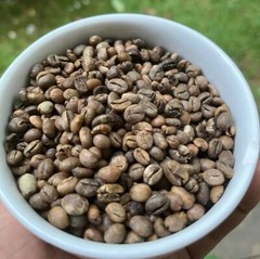 Ceylon Coffee Beans Unroasted 100% Organic Pure Fresh Natural Best Quality 100g