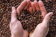 HEB CAFE Olé Rio Grande Esp Medium Roast Whole Bean Bulk Coffee – 1 lb Packet