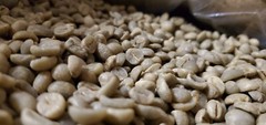 5 LB AFRICA RWANDA RWANDAN GREEN UNROASTED COFFEE BEANS FIVE POUND – ARABICA