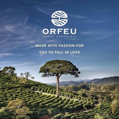 Arabica Coffee Beans – Intense Flavor