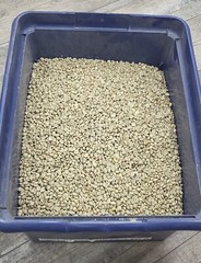10 Pounds Premium, Unroasted, Columbian, Green Coffee Beans by Colony Coffee