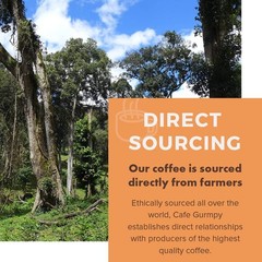 Ethiopia Yirgacheffe Single Origin Whole Coffee Beans Medium Roast 12 oz