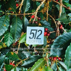 Ethiopia Yirgacheffe Light Roast Whole Bean – Single Origin Specialty Coffee …