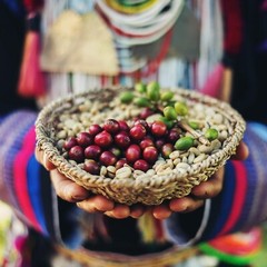 Zavida 100% Colombian Whole Bean Coffee, 907 g/ 2 LB, Exp:2024OC27