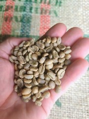 COLOMBIA SUPREMO COFFEE BEANS (UNROASTED-GREEN)