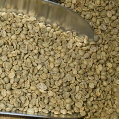 Green Coffee Beans – Mexico – Chiapas – Mocabe – Organic – Unroasted