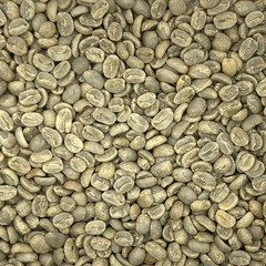 1 LB HIGH ALTITUDE PERUVIAN PERU UNROASTED GREEN COFFEE BEANS – ORGANIC ARABICA