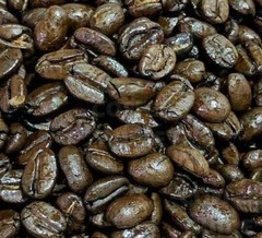 Freshly Roasted Guatemalan Coffee Beans – At a Fair Price 1lb, 2lb, 5lb