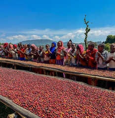 Ethiopia Natural Kaffa Bun – Specialty Organic – Single Origin – Med-Dark Roast